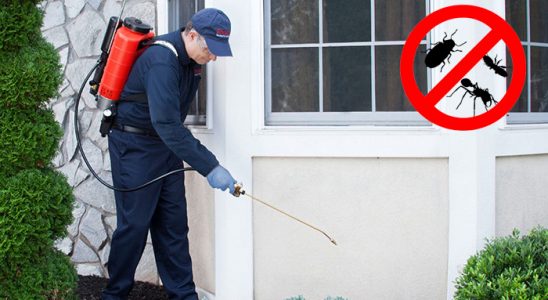 Kelkit Hamam Böceği İlaçlama böcek ilaçlama ve haşere kontrolü — ilaclama-tr.com